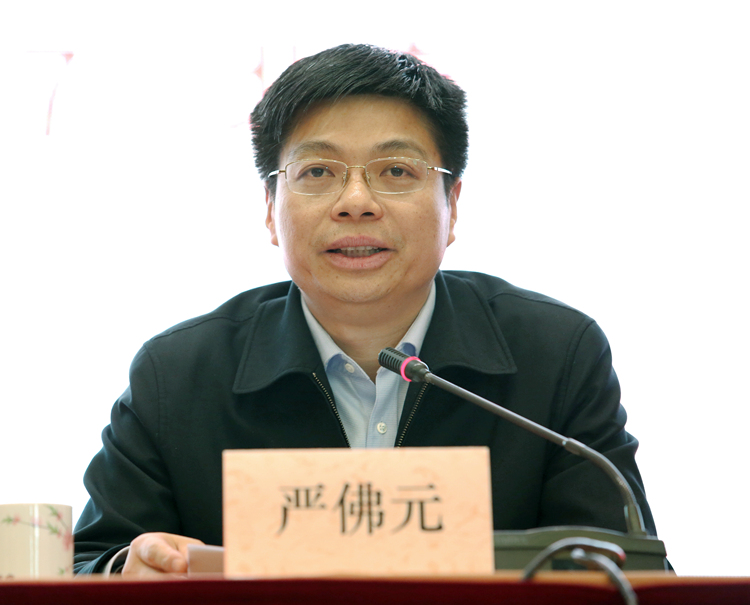 江西省政府副秘書長、省駐京辦黨組書記、主任嚴佛元.JPG